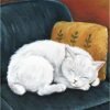 resting white cat original Resting White Cat (6 x 8 inches, canvas panel) | Original by Ranilyn